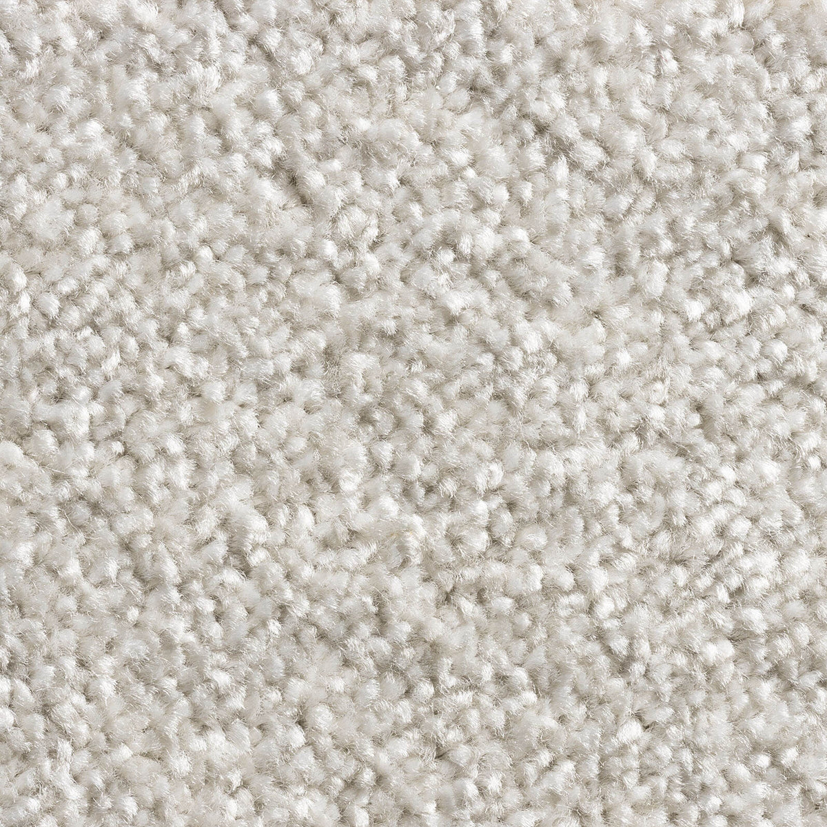 Allegro carpet – Champagne