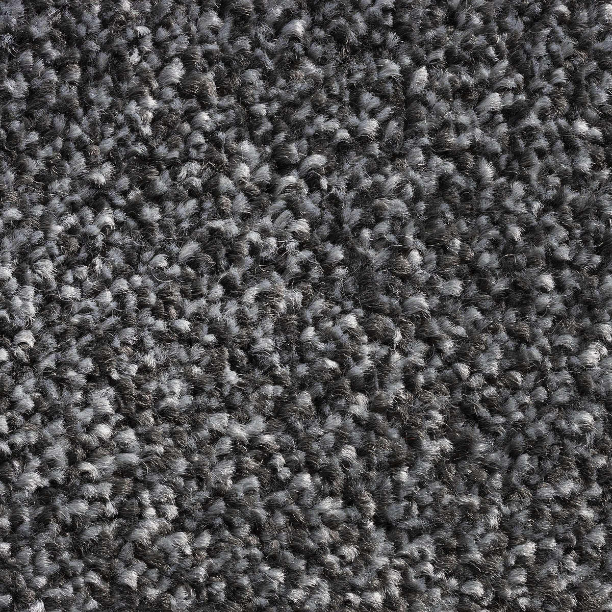 Allegro carpet – Fossil