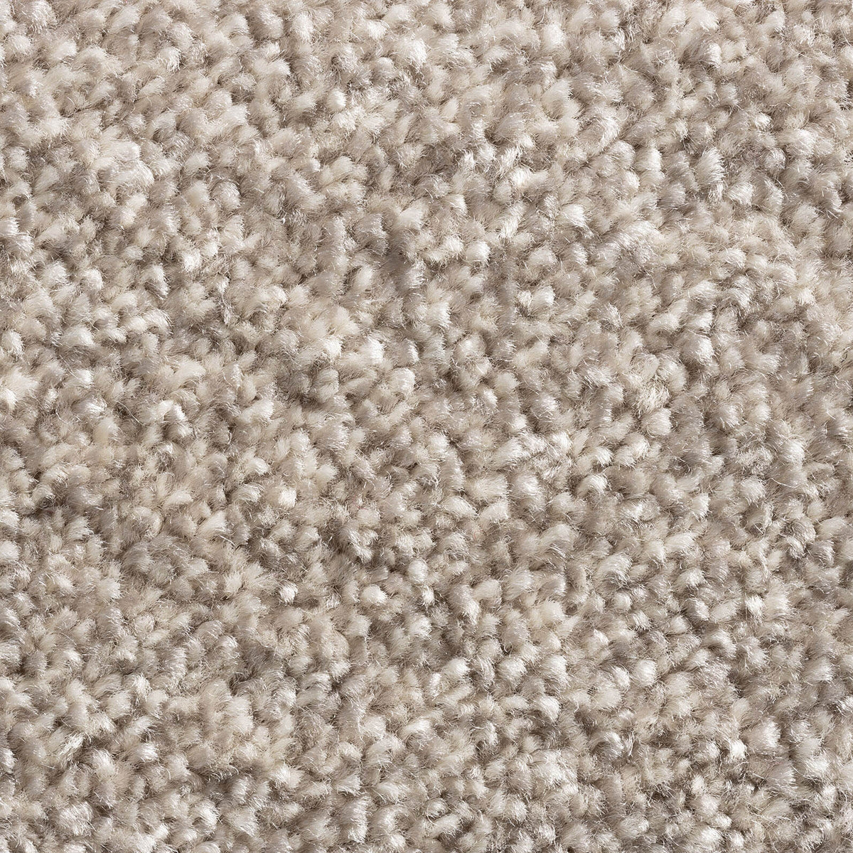 Allegro carpet – Taupe