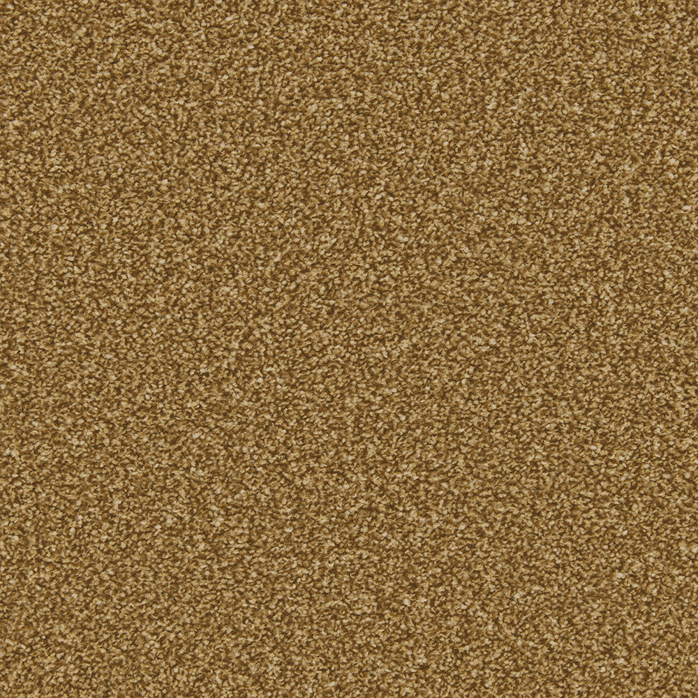 Cormar Apollo Plus Carpet