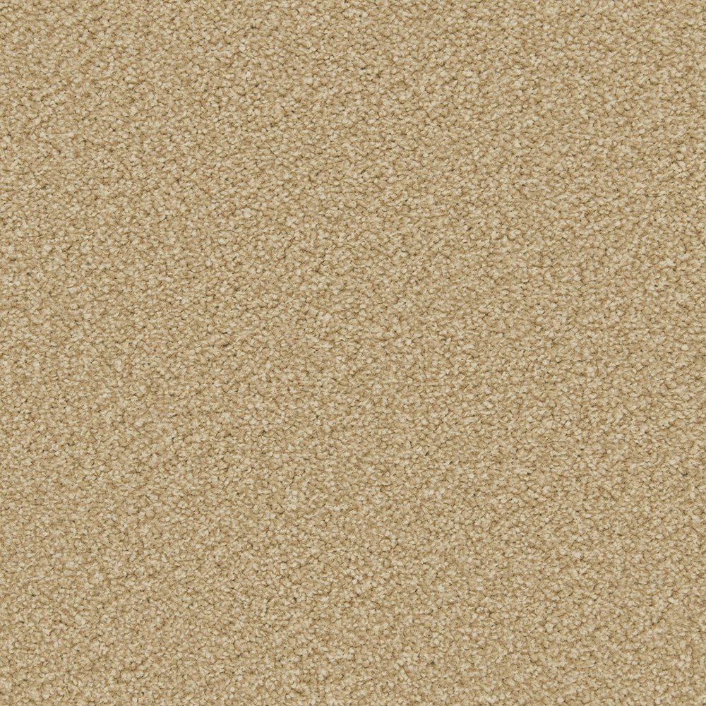 Cormar Apollo Plus Caramel carpet