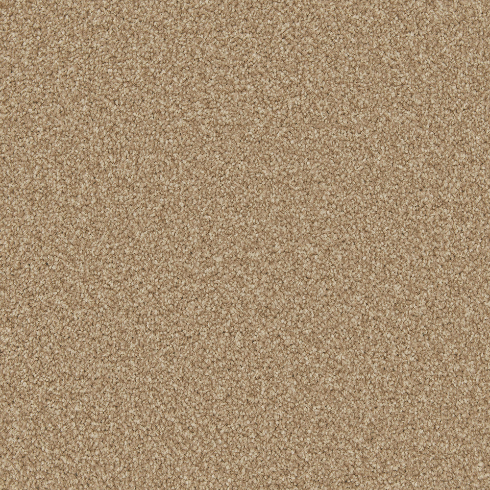 Cormar Apollo Plus Stepping Stone carpet