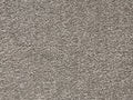 KESARI (4m,5m) carpet - 950 Persian Cat