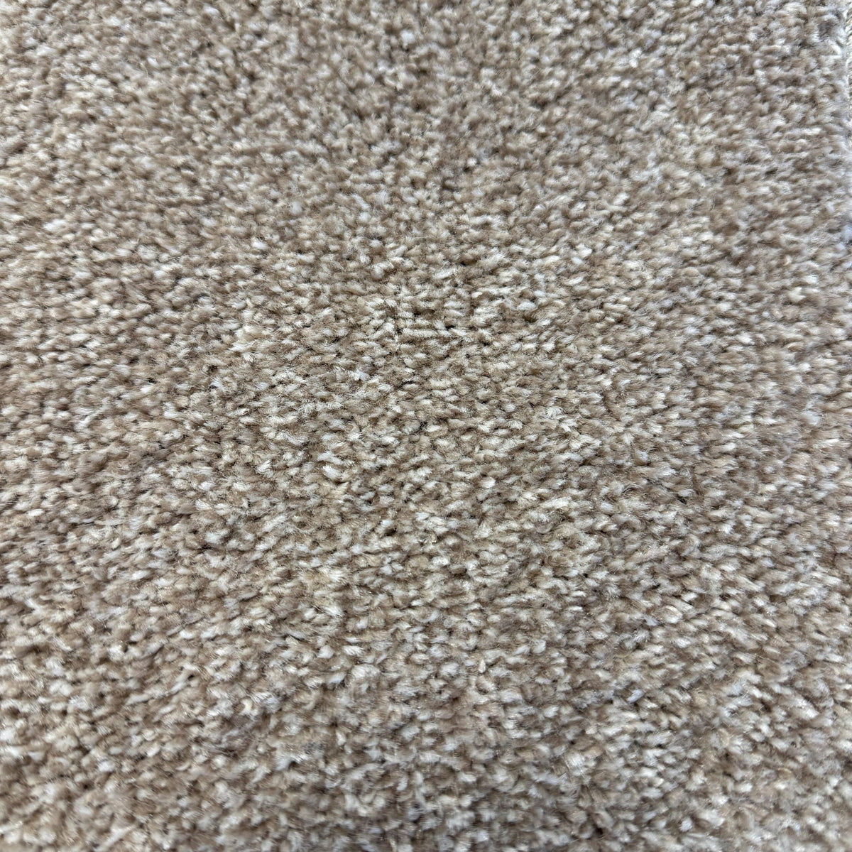 ELITE 4M & 5M – FELT carpet - 173 hemp