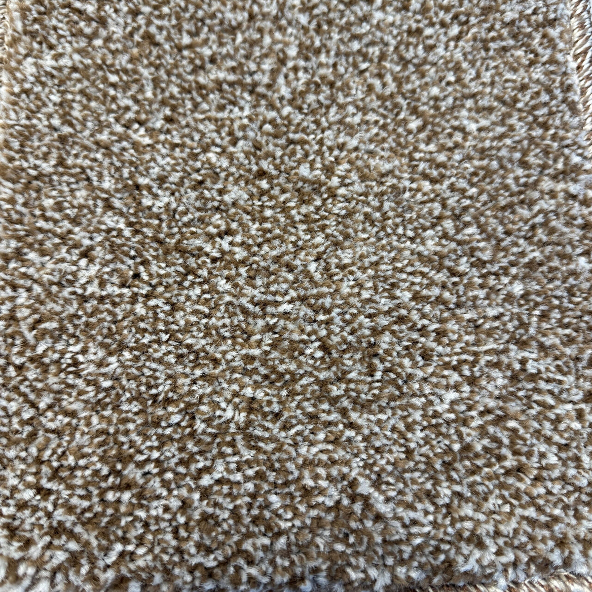 ELITE 4M & 5M – FELT carpet - 190 bramble