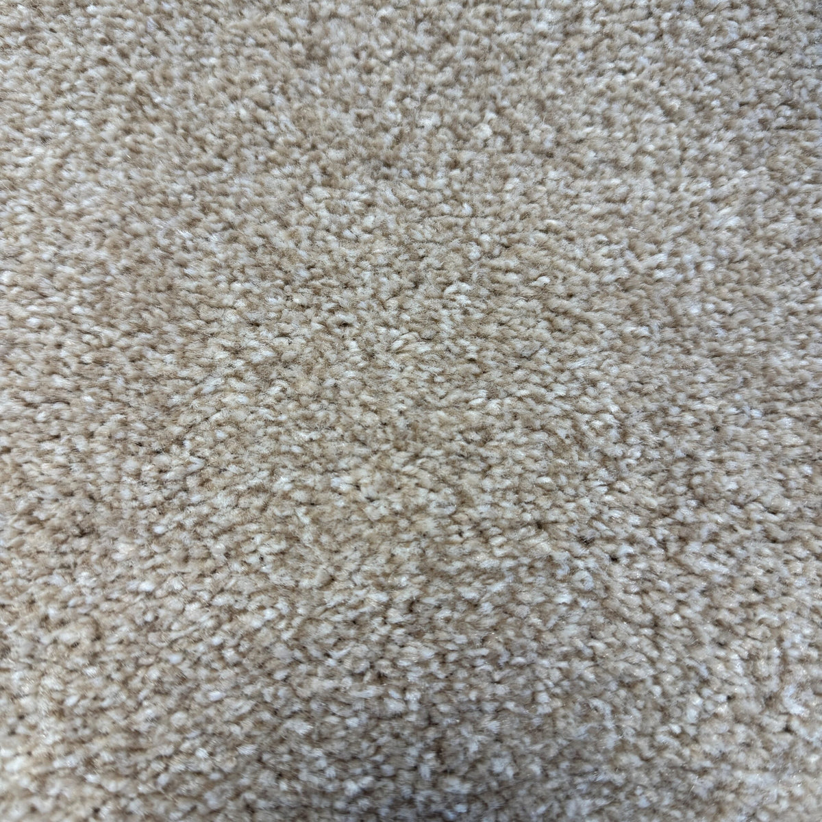 ELITE 4M & 5M – FELT carpet - 70 sand