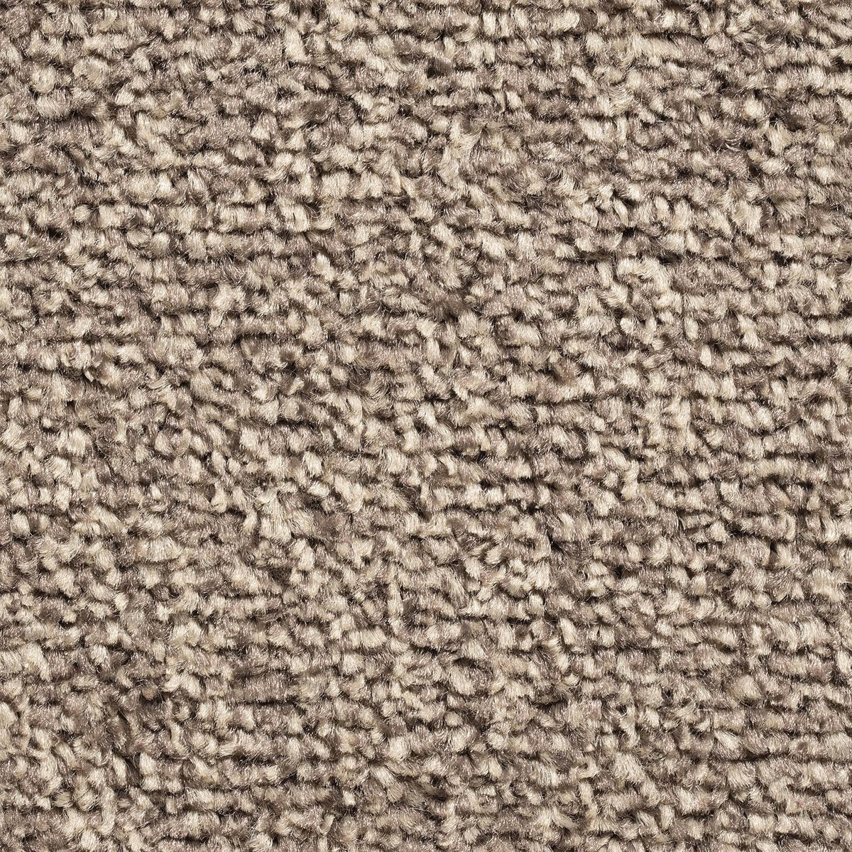ELITE 4M & 5M – FELT carpet - 91 Biscuit