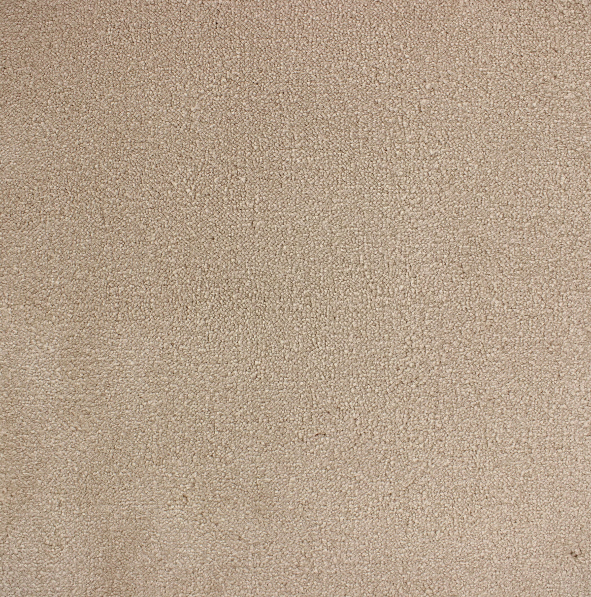 VANITY 4M & 5M LUXURY NYLON – A/B carpet - 105 Powder