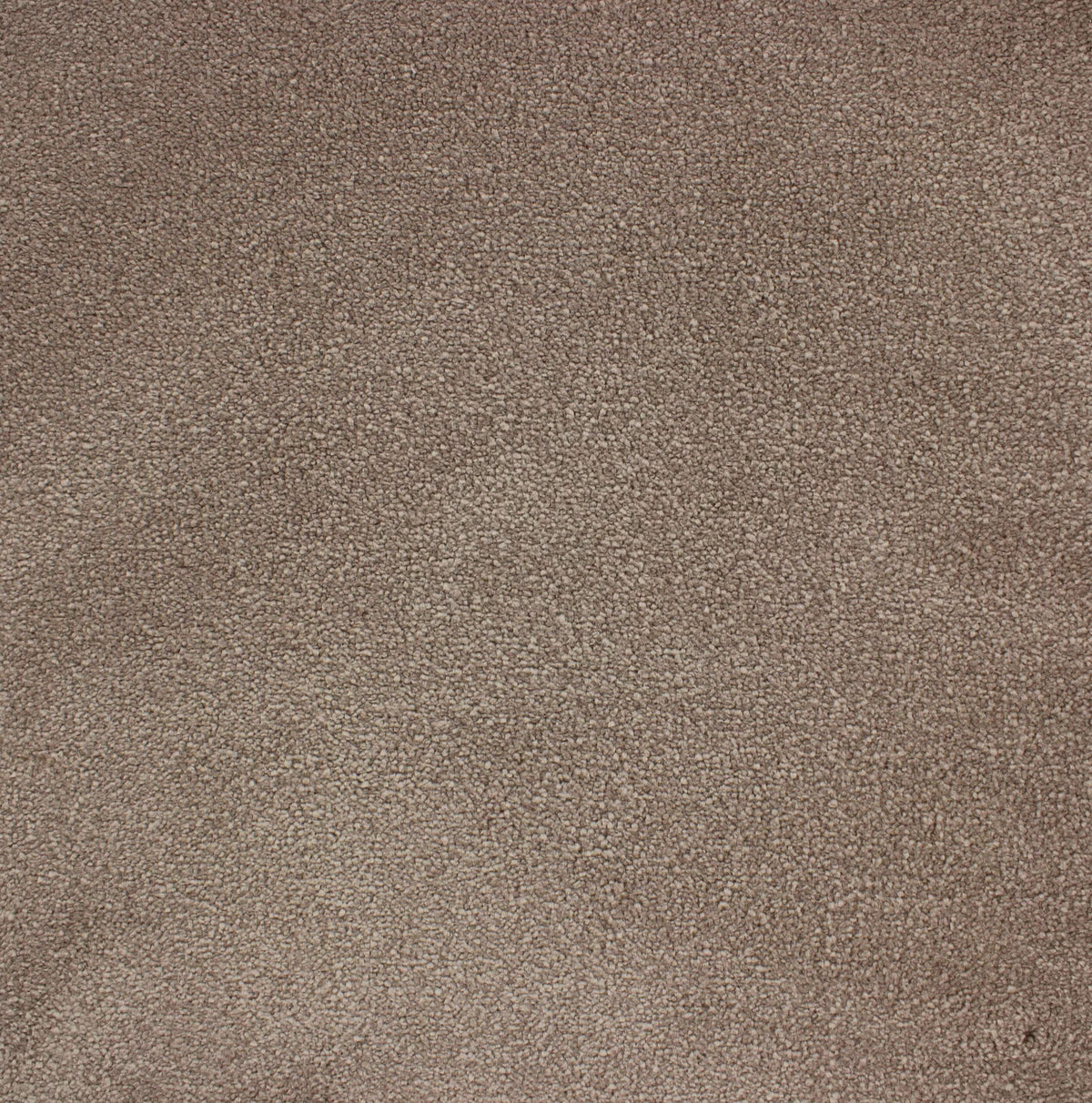 VANITY 4M & 5M LUXURY NYLON – A/B carpet - 133 Taupe