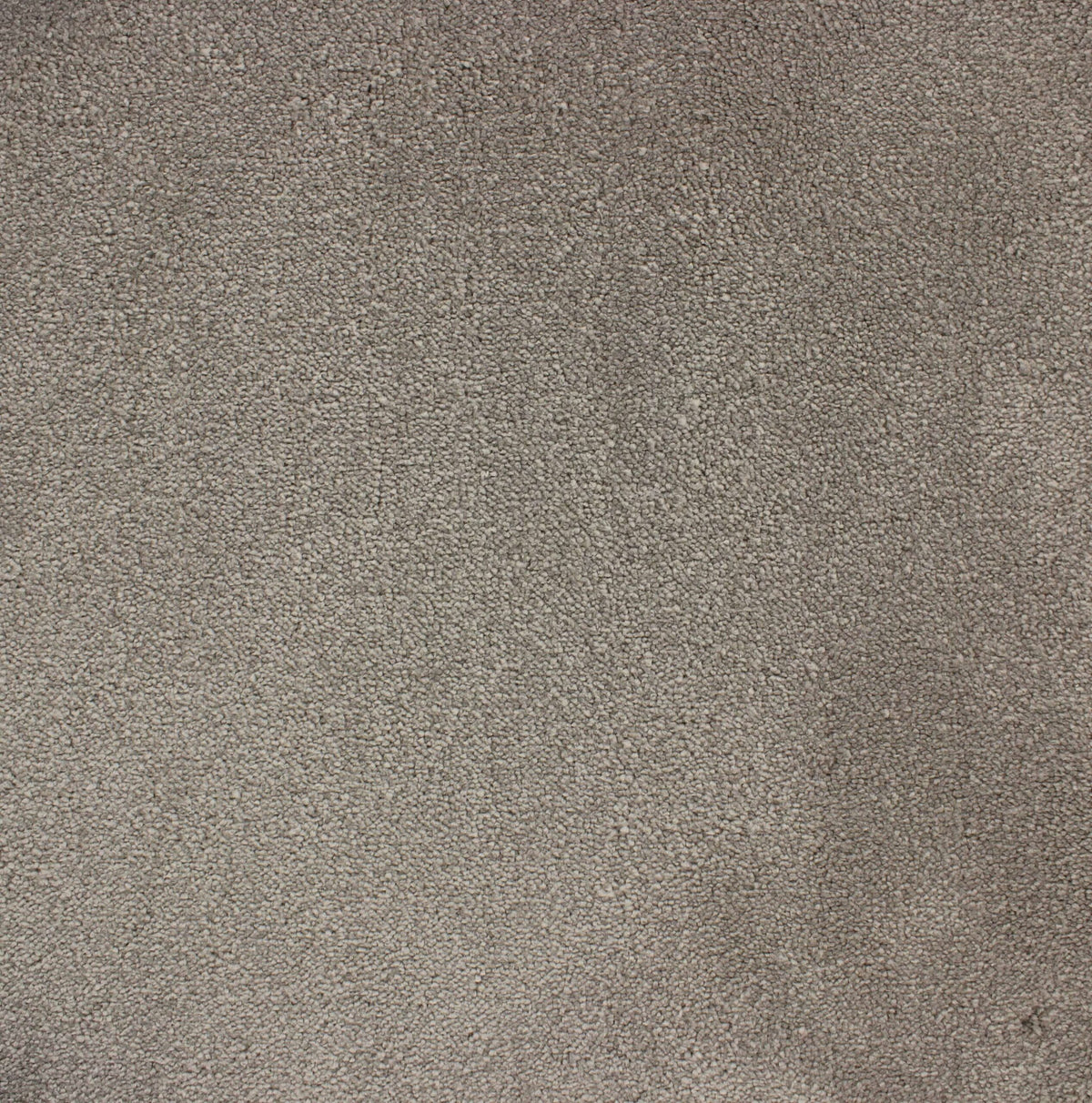 VANITY 4M & 5M LUXURY NYLON – A/B carpet - 159 Dust
