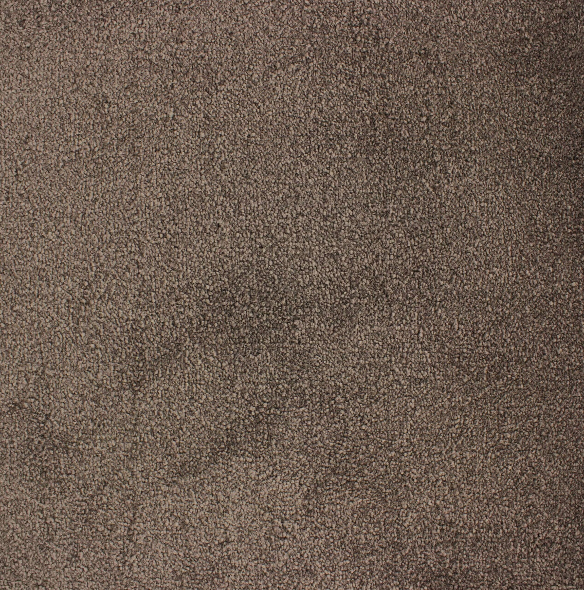 VANITY 4M & 5M LUXURY NYLON – A/B carpet - 173 Seal