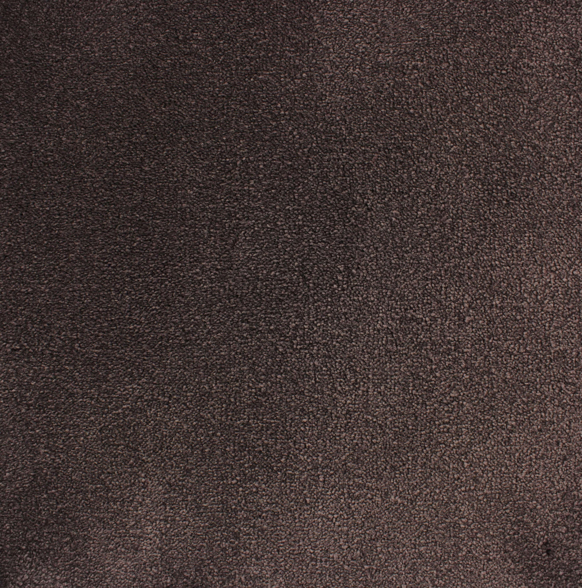 VANITY 4M & 5M LUXURY NYLON – A/B carpet - 183 Aubergine