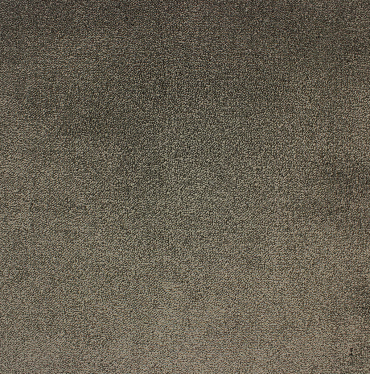 VANITY 4M & 5M LUXURY NYLON – A/B carpet - 184 Loam