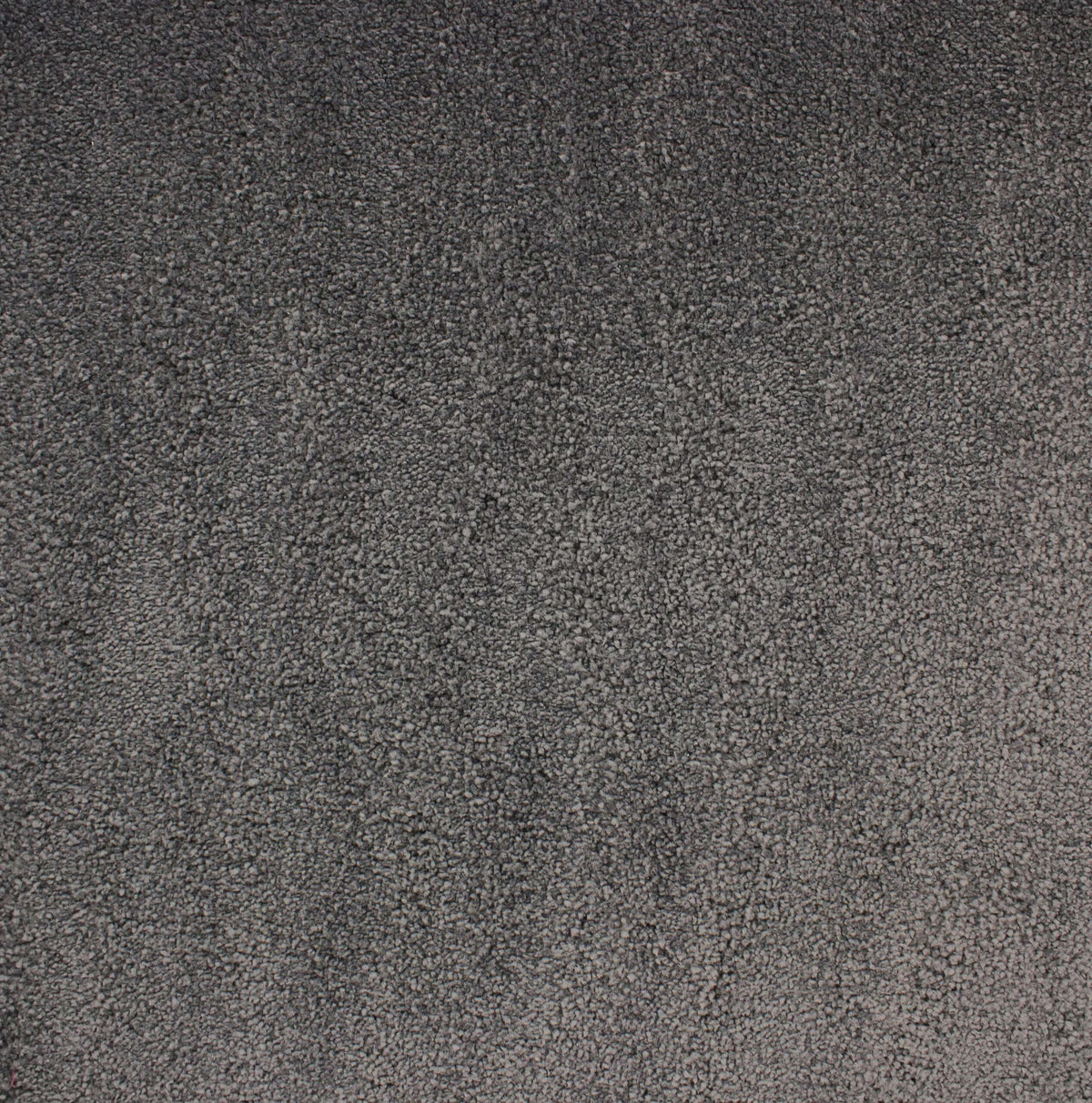 VANITY 4M & 5M LUXURY NYLON – A/B carpet - 189 Elephant