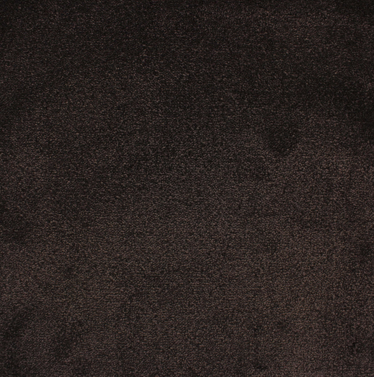 VANITY 4M & 5M LUXURY NYLON – A/B carpet - 193 Chocolate
