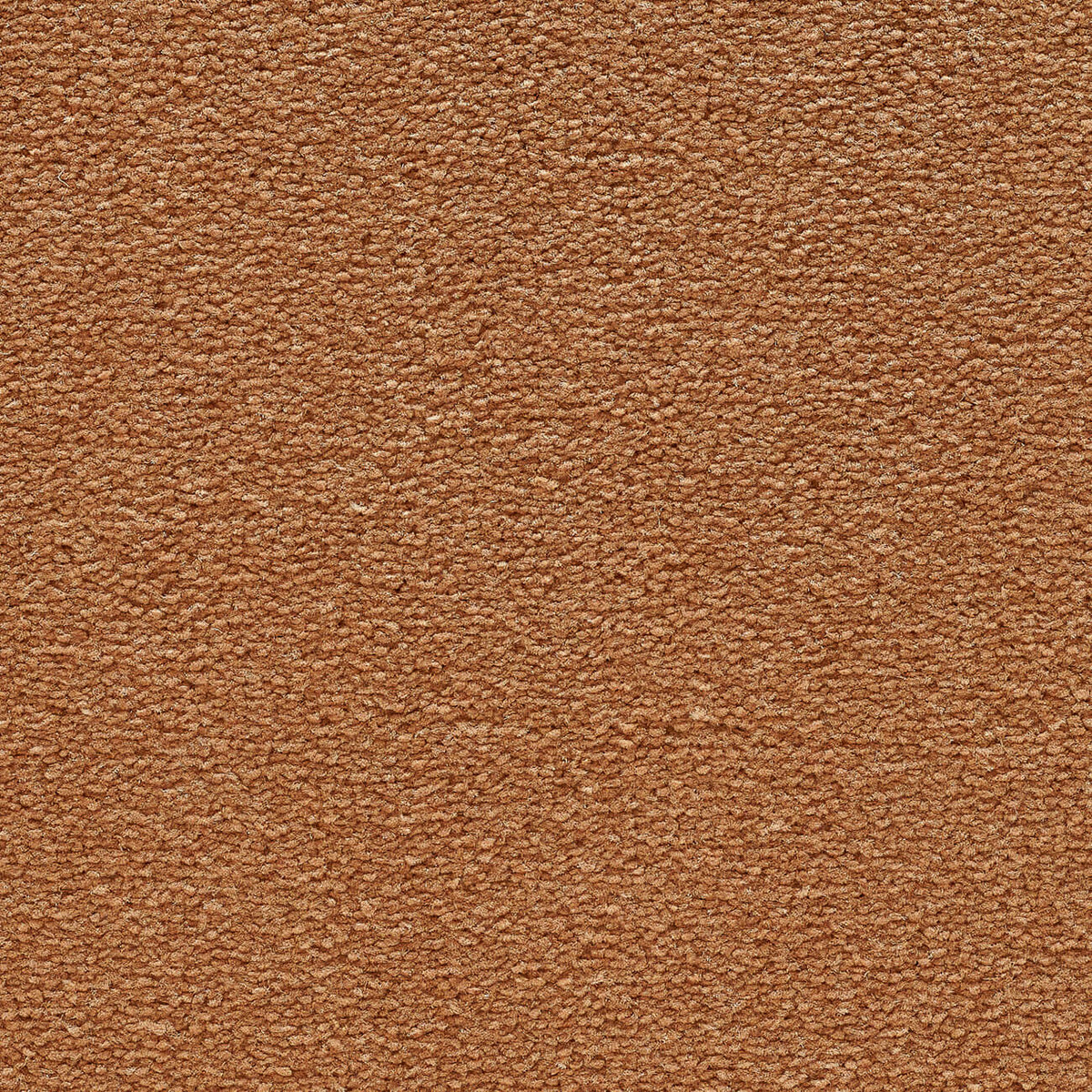 VANITY 4M & 5M LUXURY NYLON – A/B carpet - 225 Apricot