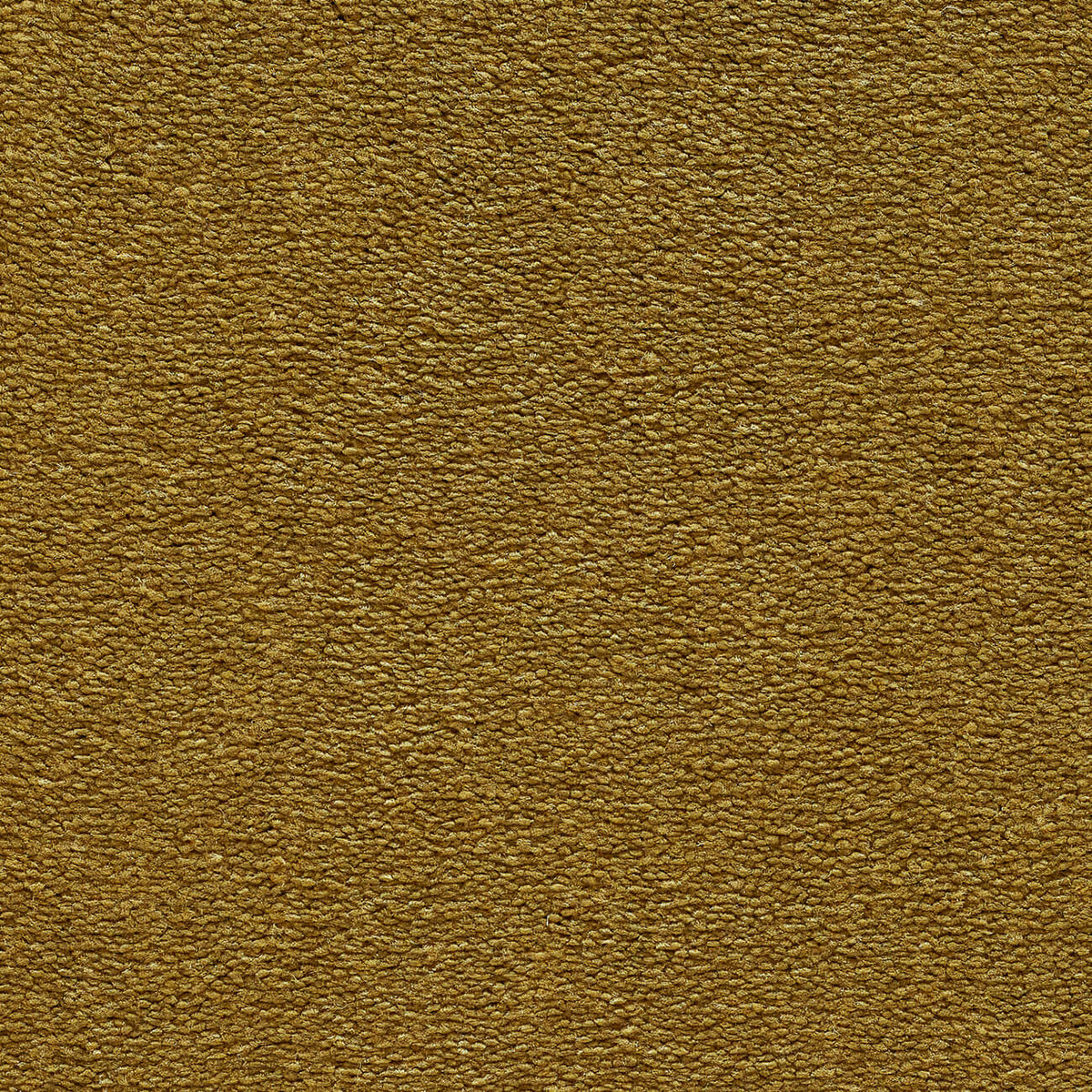 VANITY 4M & 5M LUXURY NYLON – A/B carpet - 244 Bulrush