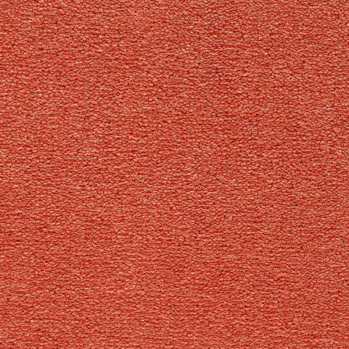 VANITY 4M & 5M LUXURY NYLON – A/B carpet - 245 Grenadine