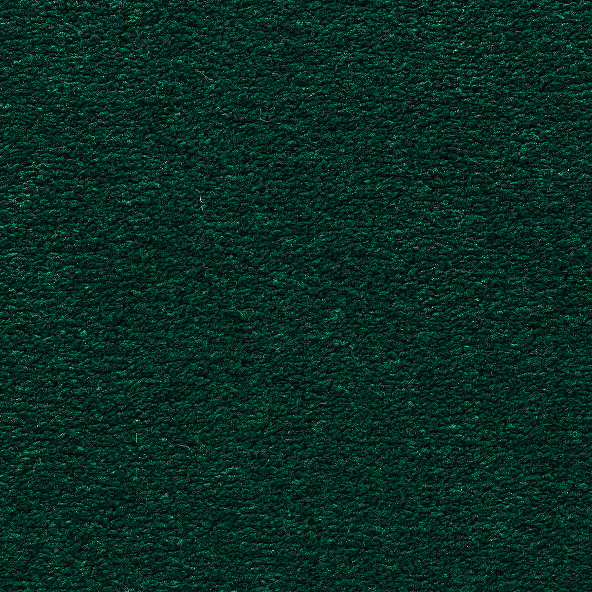 VANITY 4M & 5M LUXURY NYLON – A/B carpet - 284 Spruce