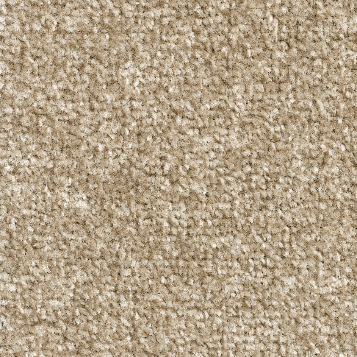 PRONTO (4m,5m) carpet - 70 Cashmere