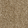 PRONTO (4m,5m) carpet - 72 Truffle