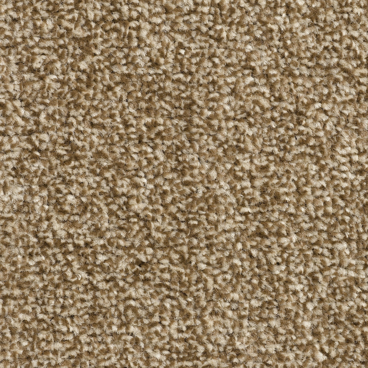 PRONTO (4m,5m) carpet - 72 Truffle