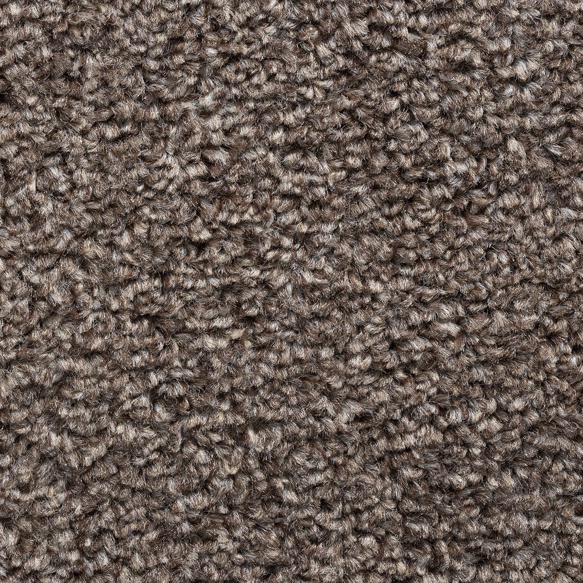 MALTA (4m,5m) carpet - 297 Bramble