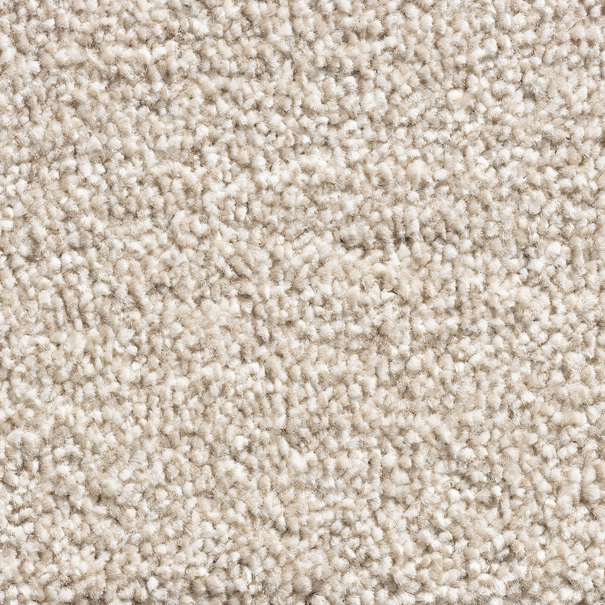 PHOENIX (4m,5m) carpet - 170 Cashmere
