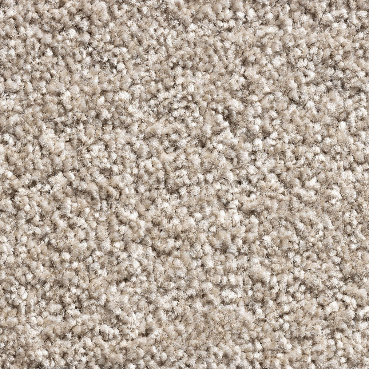 PHOENIX (4m,5m) carpet - 172 Taupe