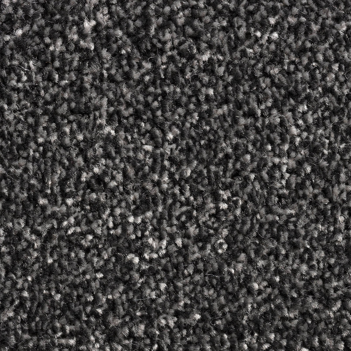 PHOENIX (4m,5m) carpet - 375 Graphite