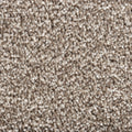 PHOENIX (4m,5m) carpet - 390 Porcini