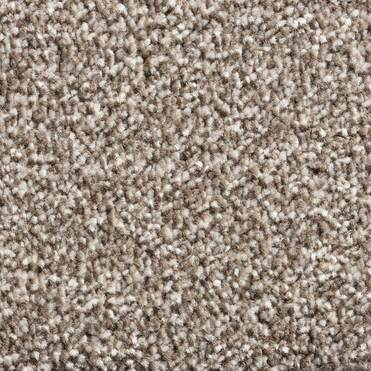 PHOENIX (4m,5m) carpet - 390 Porcini