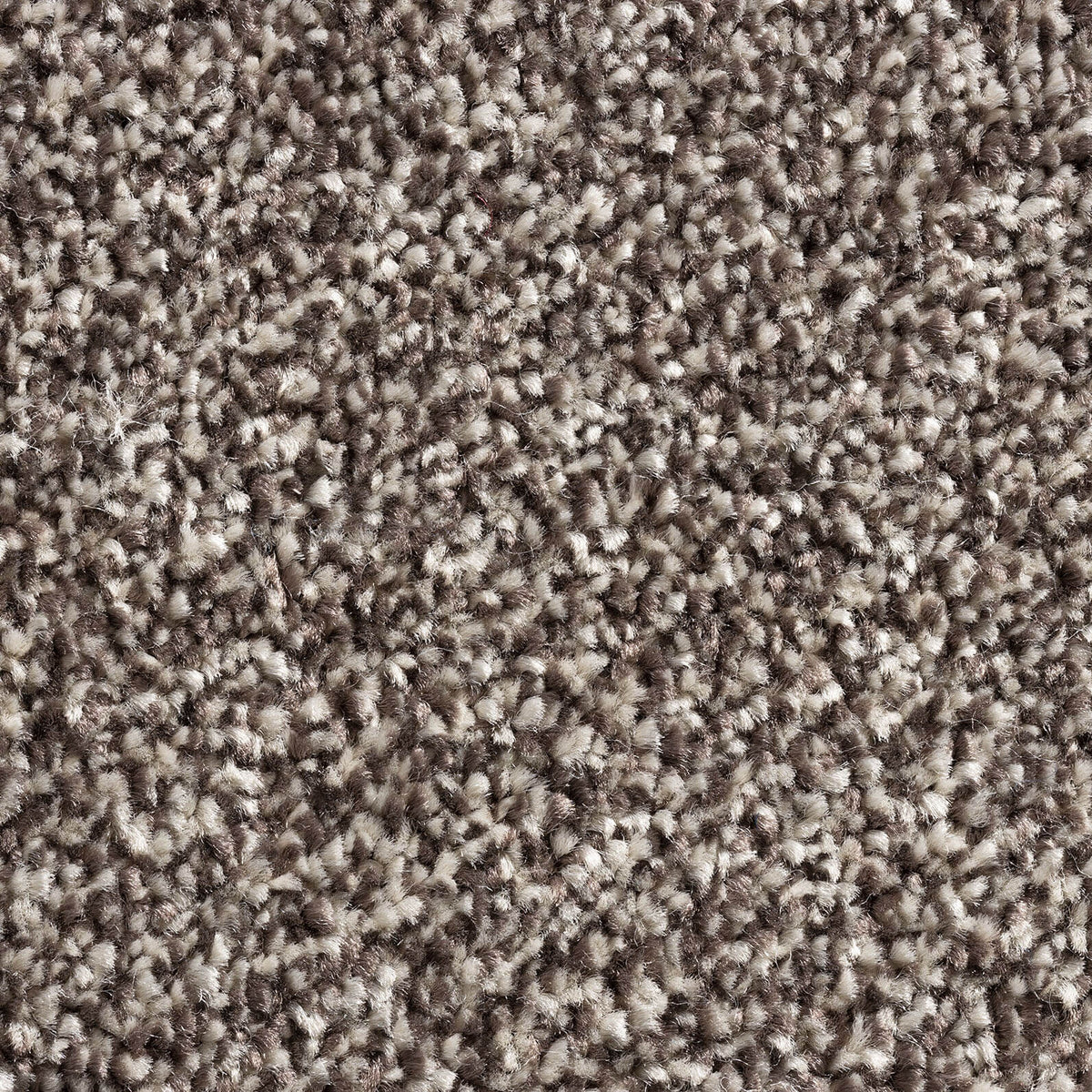 PHOENIX (4m,5m) carpet - 393 Bramble