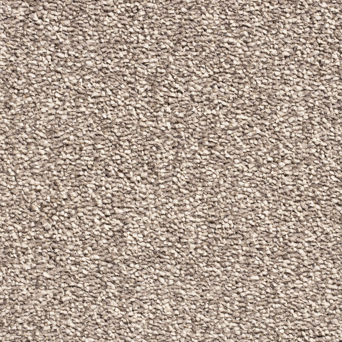 EMINENCE 4M & 5M – A/B carpet - 90 Parchment