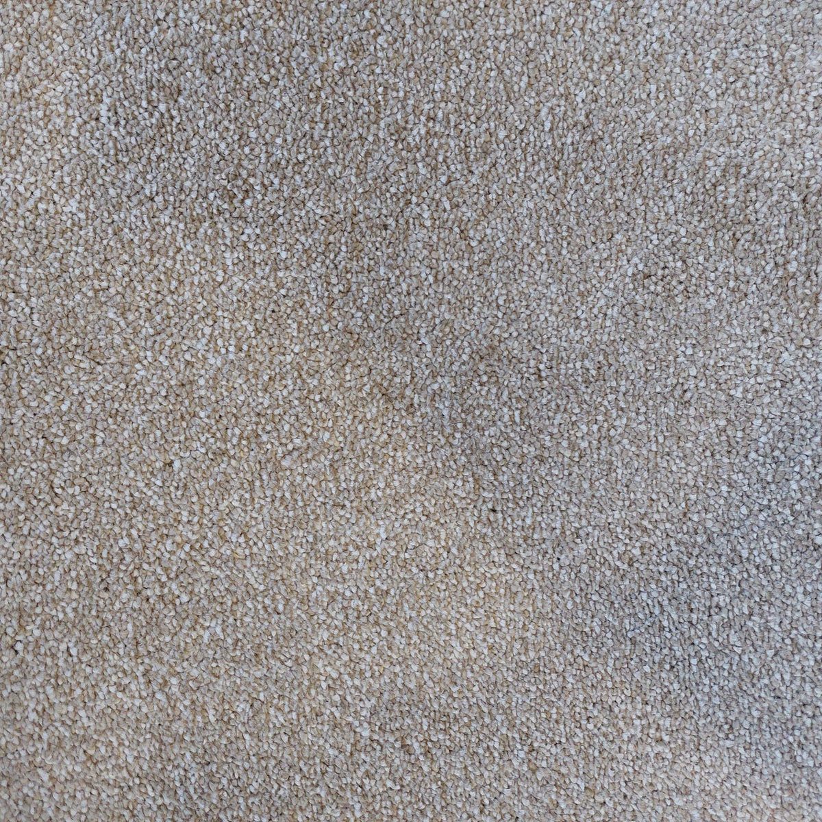 DESIRE BY LANO 4M & 5M – FELT carpet - 231 Flax