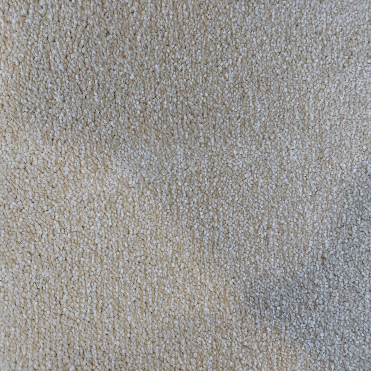 DESIRE BY LANO 4M & 5M – FELT carpet - 240 Cream