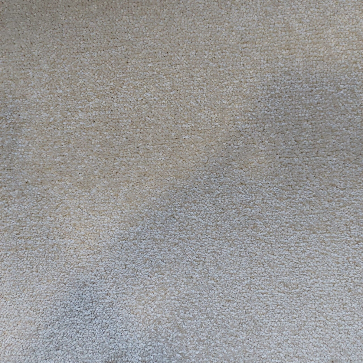 DESIRE BY LANO 4M & 5M – FELT carpet - 440 Ivory