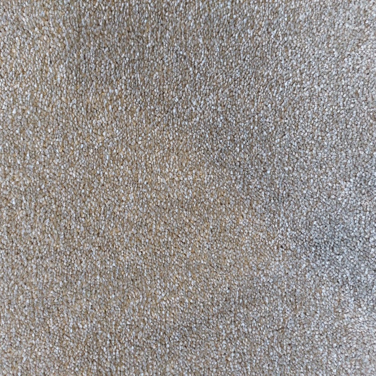 DESIRE BY LANO 4M & 5M – FELT carpet - 450 Sand