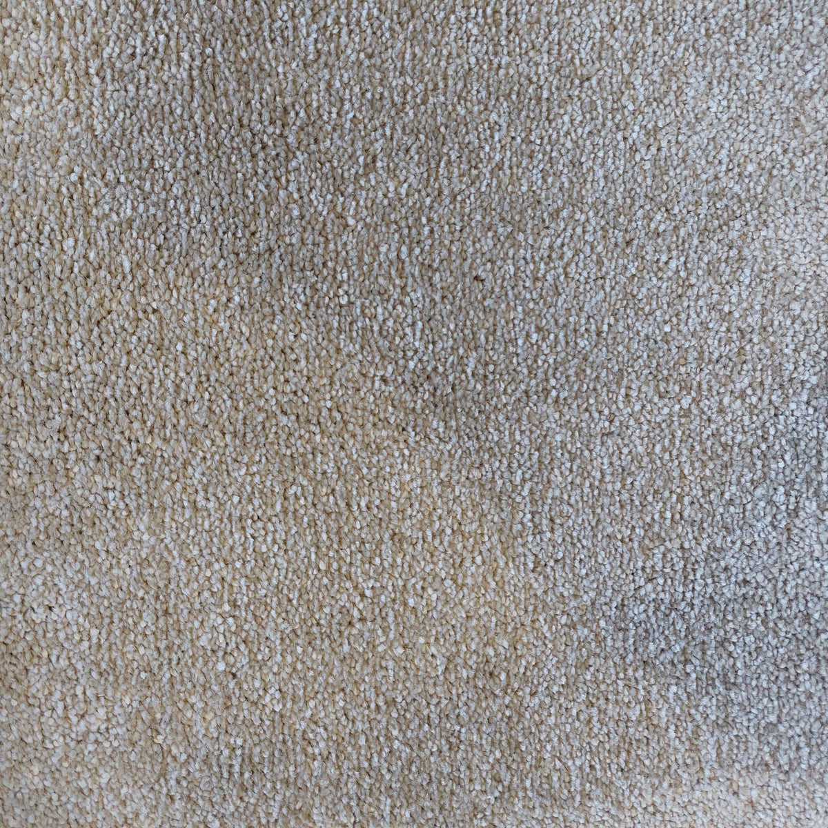 DESIRE BY LANO 4M & 5M – FELT carpet - 460 Hemp