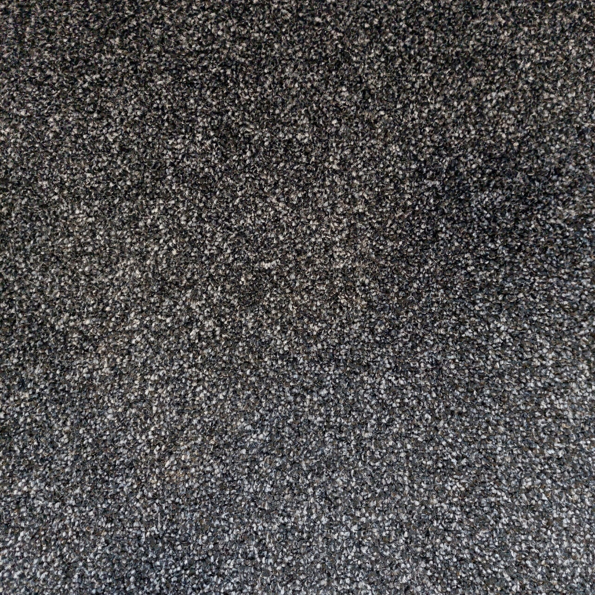 DESIRE BY LANO 4M & 5M – FELT carpet - 801 Ebony