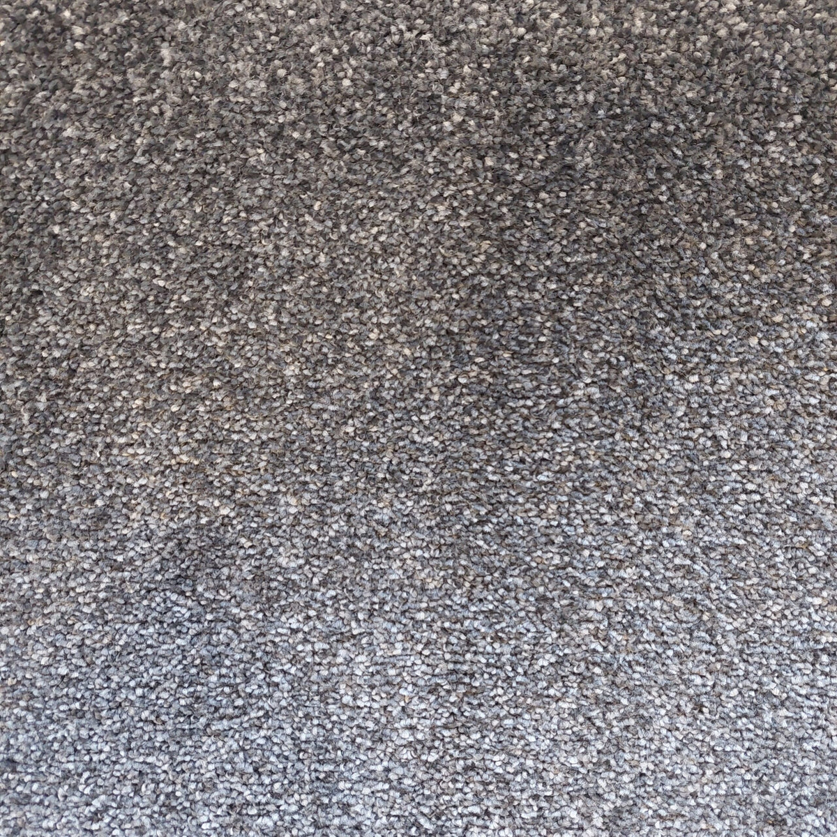 DESIRE BY LANO 4M & 5M – FELT carpet - 820 Slate