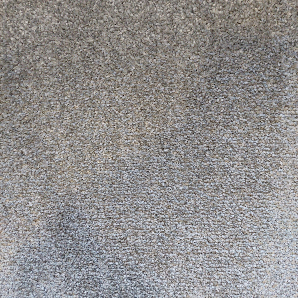 DESIRE BY LANO 4M & 5M – FELT carpet - 860 Granite