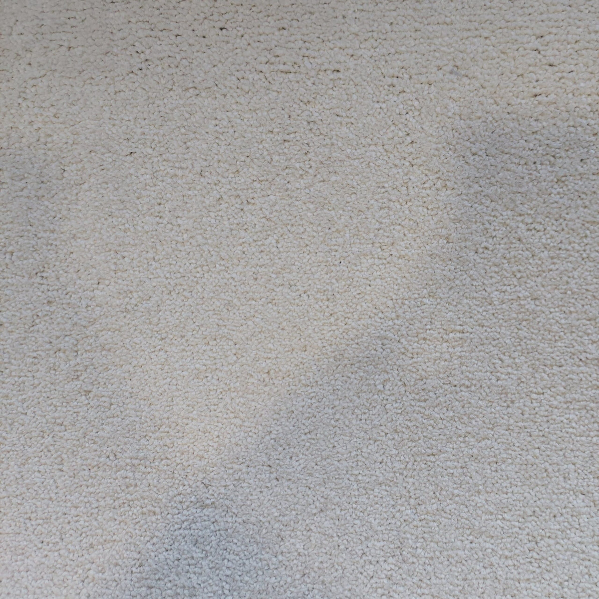 DESIRE BY LANO 4M & 5M – FELT carpet - 890 Snow