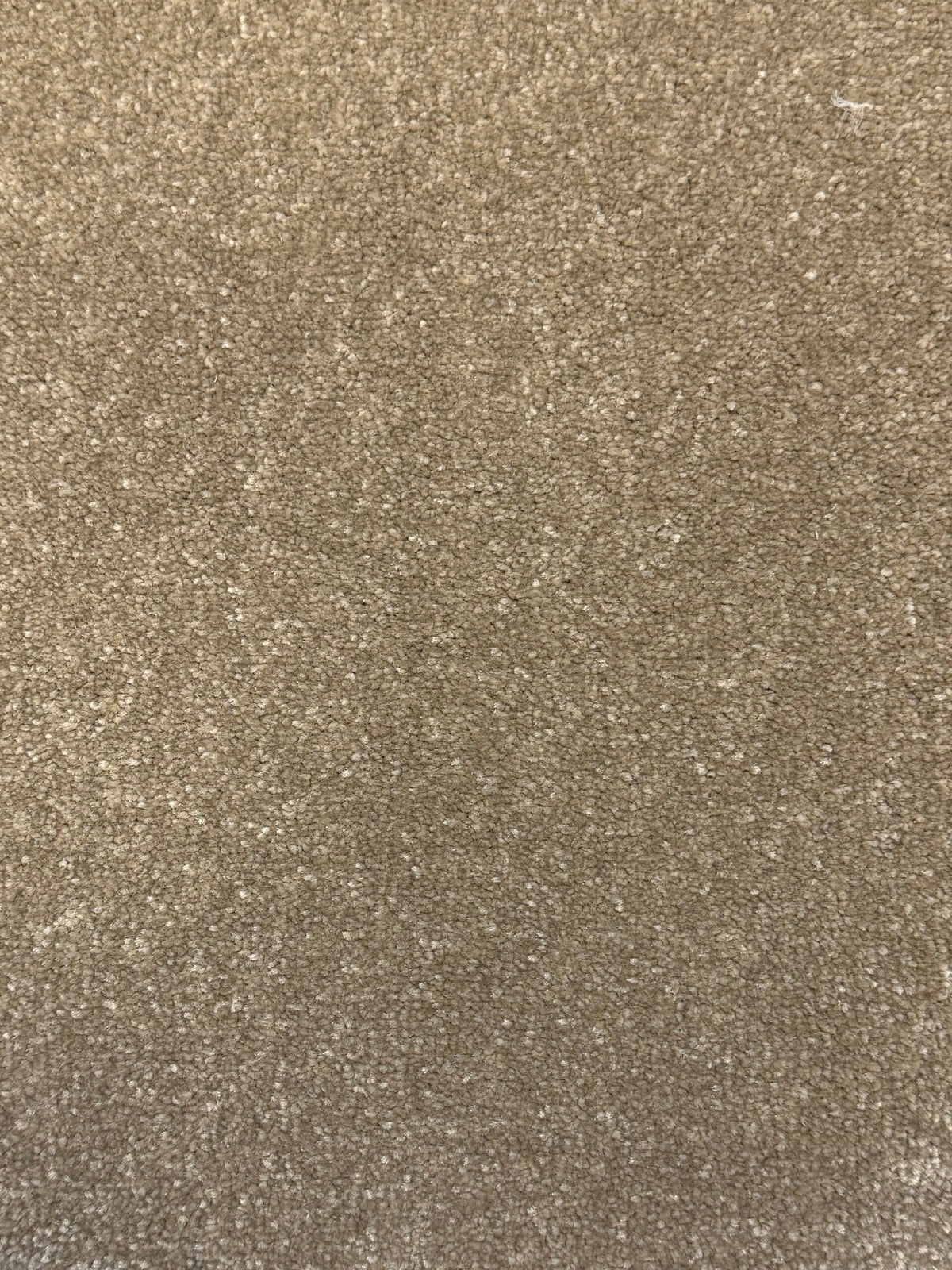ULSTER TWEED 4M & 5M – A/B carpet - 162 Toasted Almond