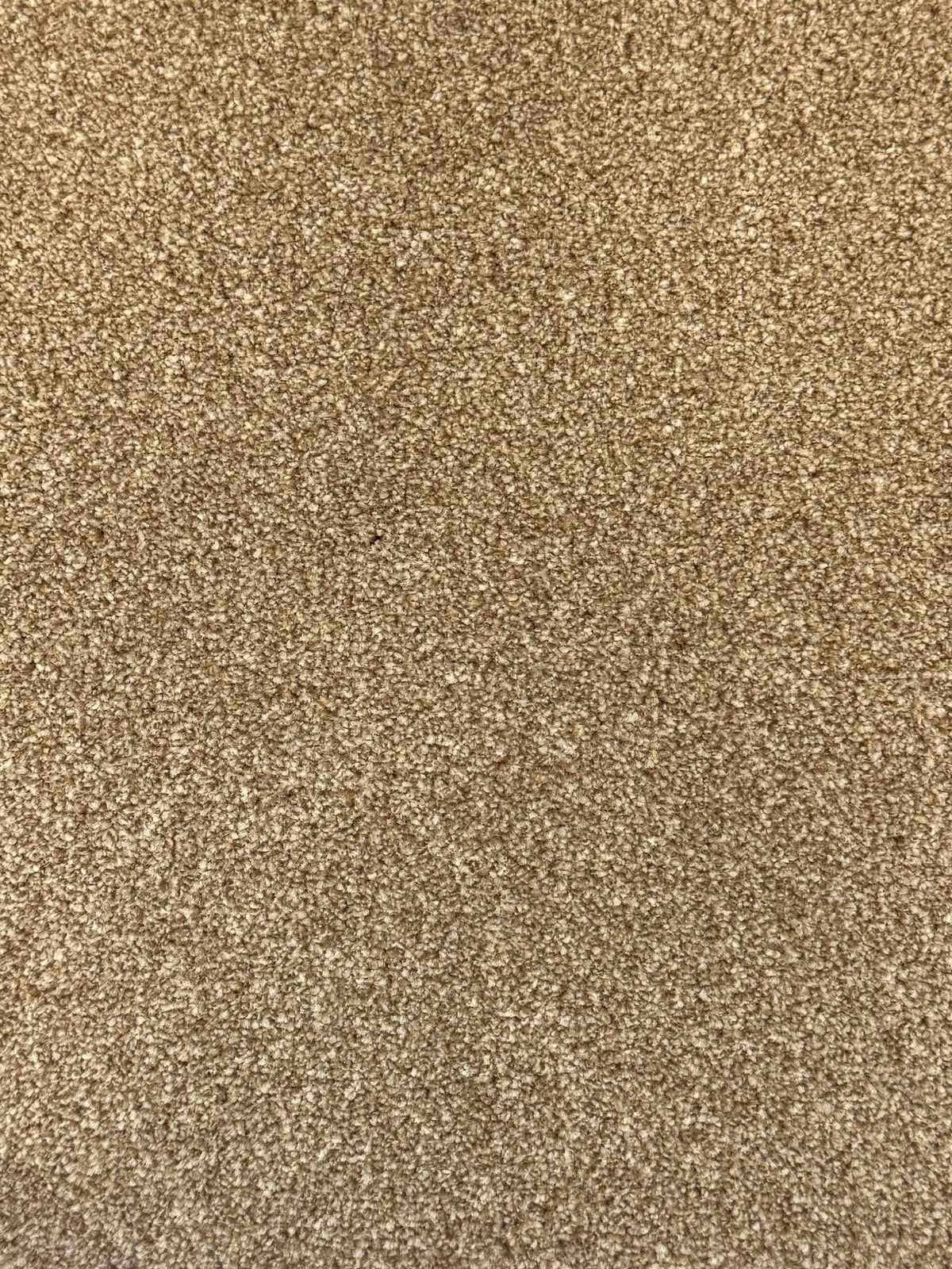 ULSTER TWEED 4M & 5M – A/B carpet - 169 Beechwood