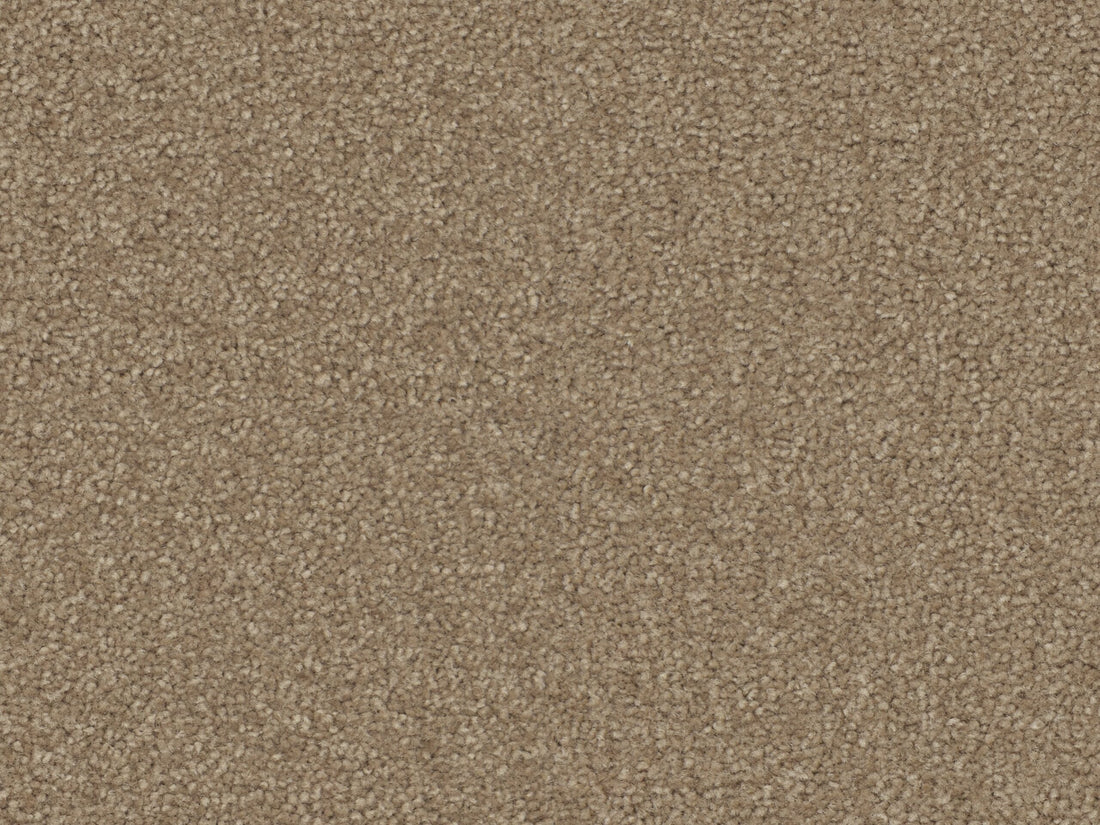 SIENNA 4M & 5M LANO PES – COMBI