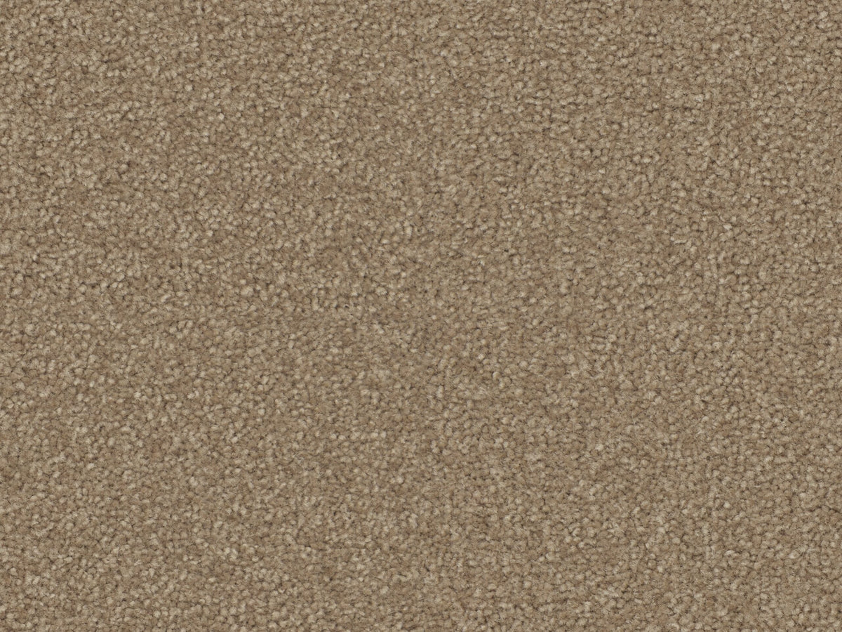SIENNA 4M & 5M LANO PES – COMBI carpet - 220 Acorn