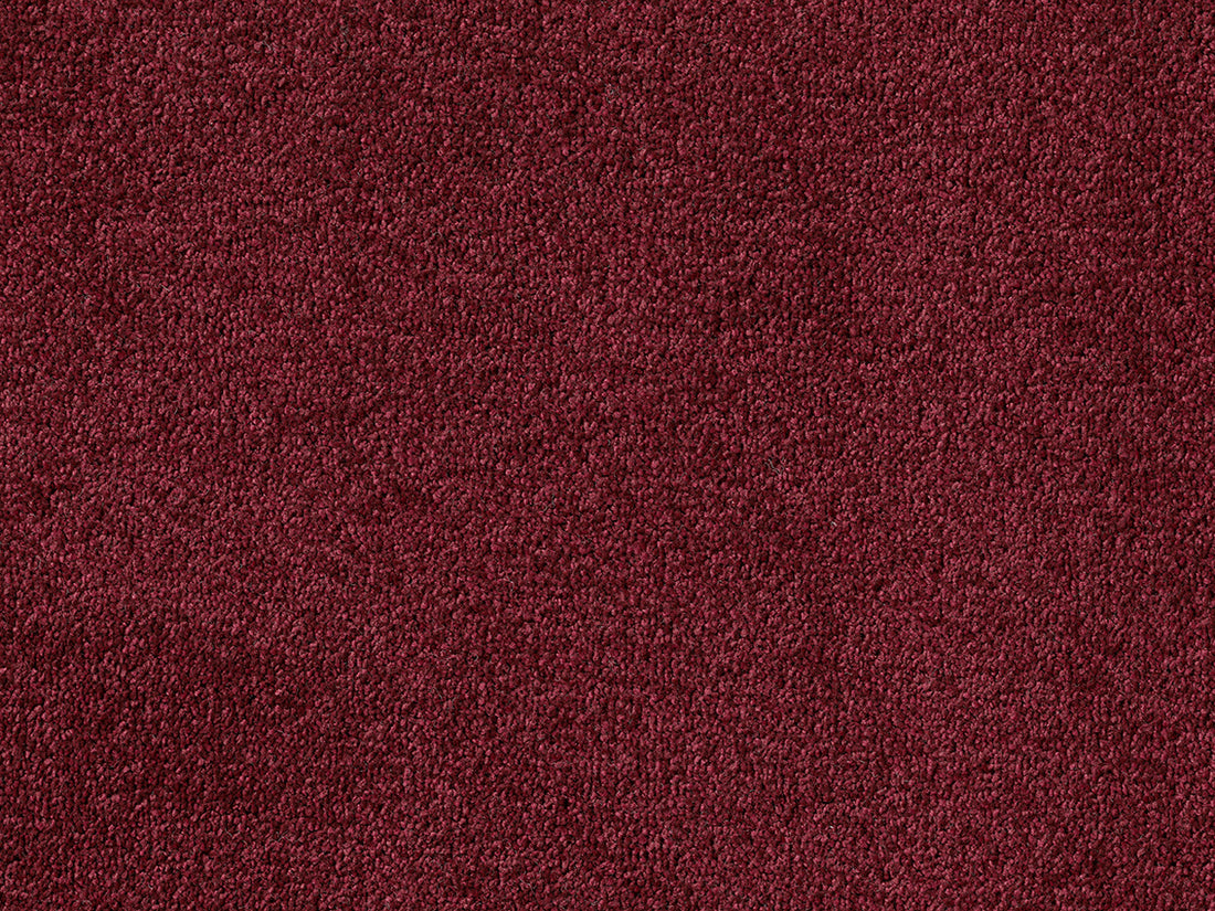 PICASSO 4M & 5M SERENE ONLY – COMBI