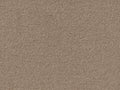 PICASSO 4M & 5M SERENE ONLY – COMBI carpet - 270 Almond