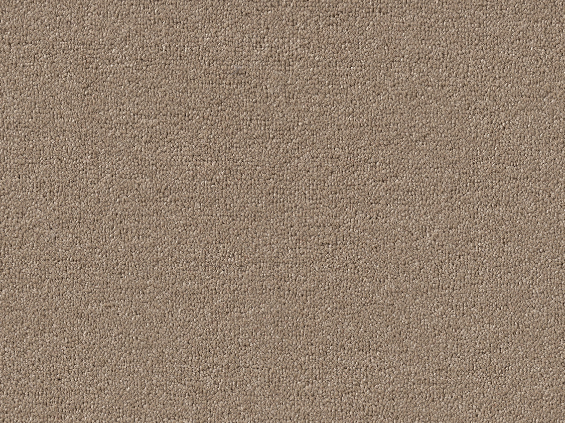 PICASSO 4M & 5M SERENE ONLY – COMBI carpet - 270 Almond